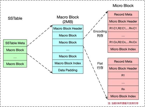 數(shù)據(jù)庫存儲與索引技術(shù)實(shí)踐 LSM樹實(shí)現(xiàn)案例解析與數(shù)據(jù)處理服務(wù)架構(gòu)